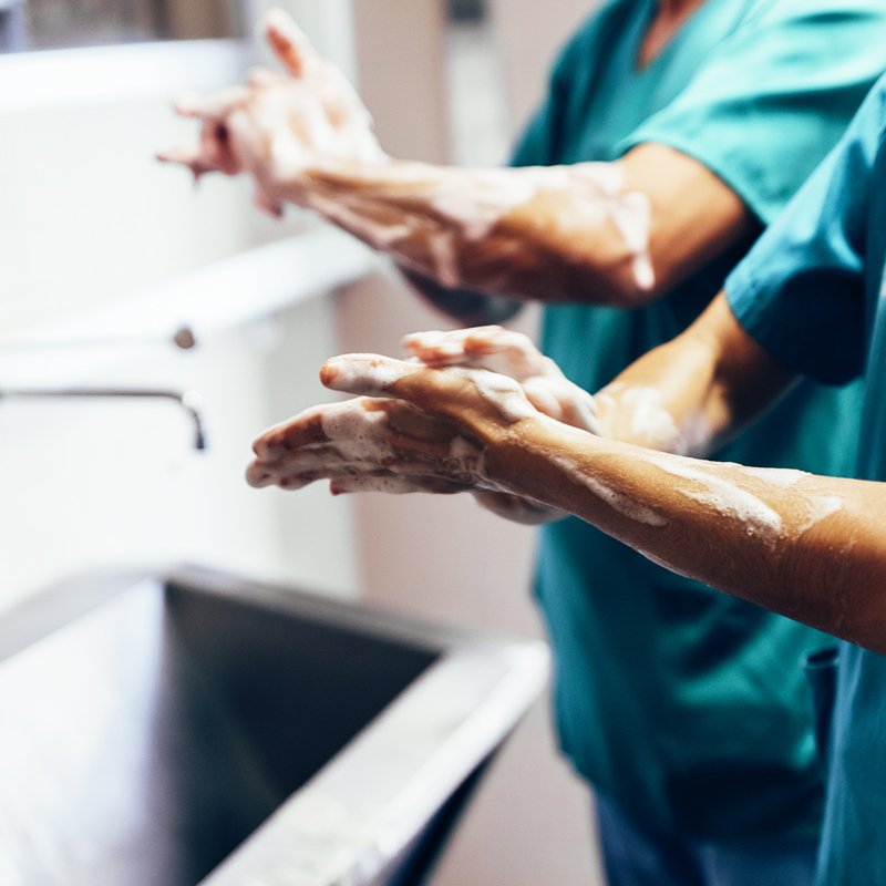 Důkladné mytí rukou je základ