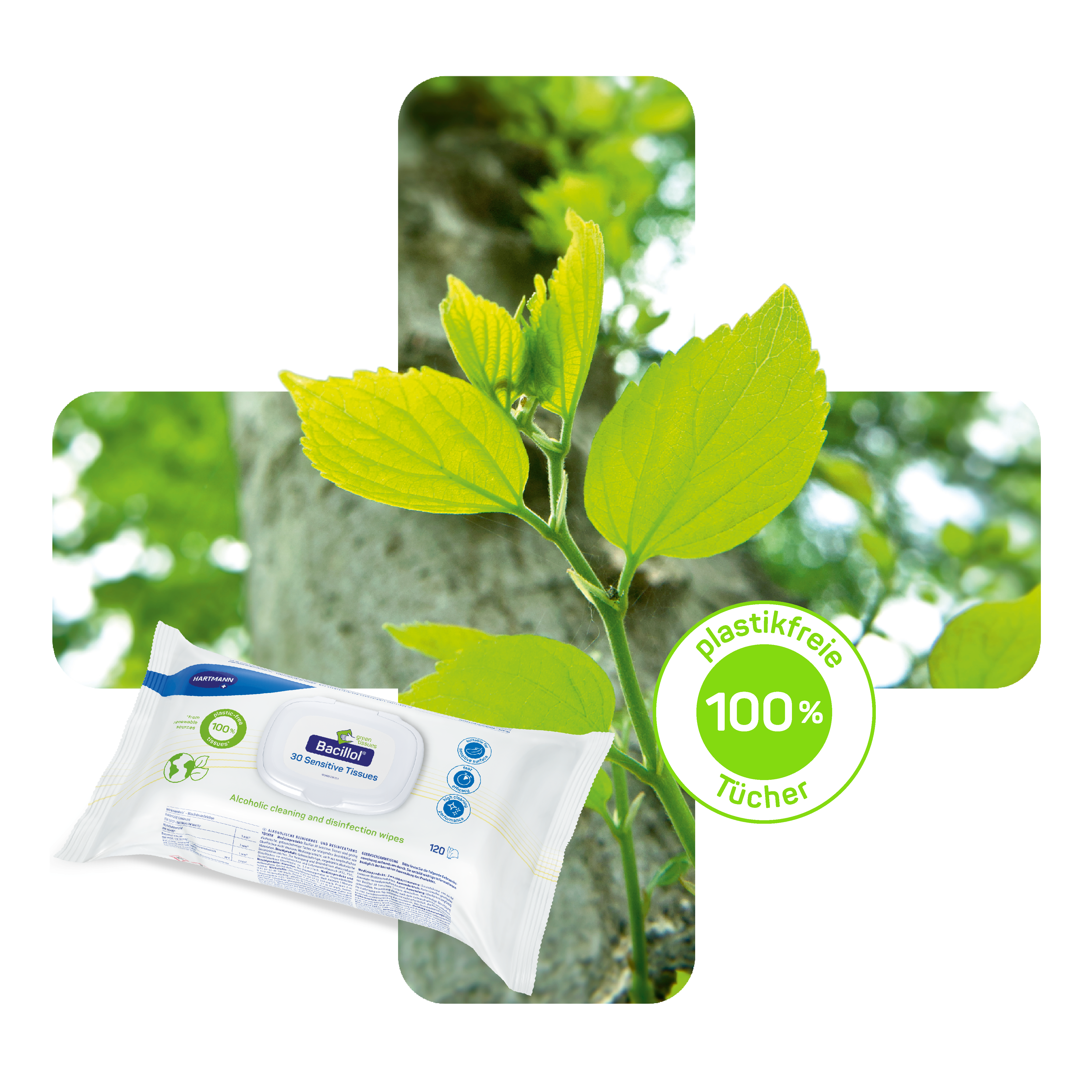 Grüner Zweig mit Blätter und einer Packung Feuchttücher.