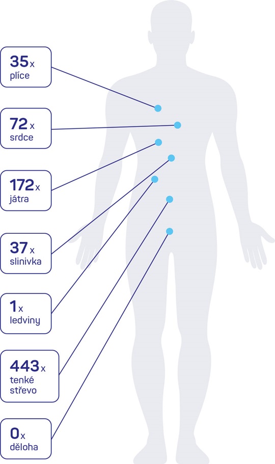 Transplantace jednotlivých orgánů v roce 2020: jeden dárce může darovat až 8 orgánů.*