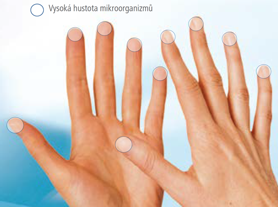 Vysoká hustota mikroorganizmů