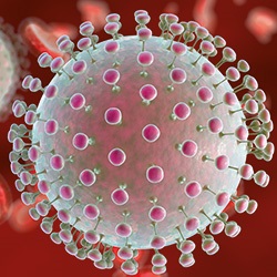 Zika-Virus
