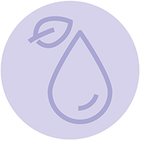 Sterillium pure ohne Farb- und Parfümstoffe