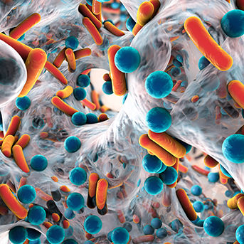 MRSA Abbildung