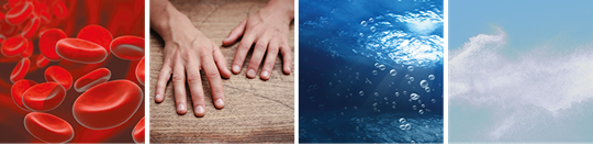 Übersicht Weiterverbreitung Krankheitserreger