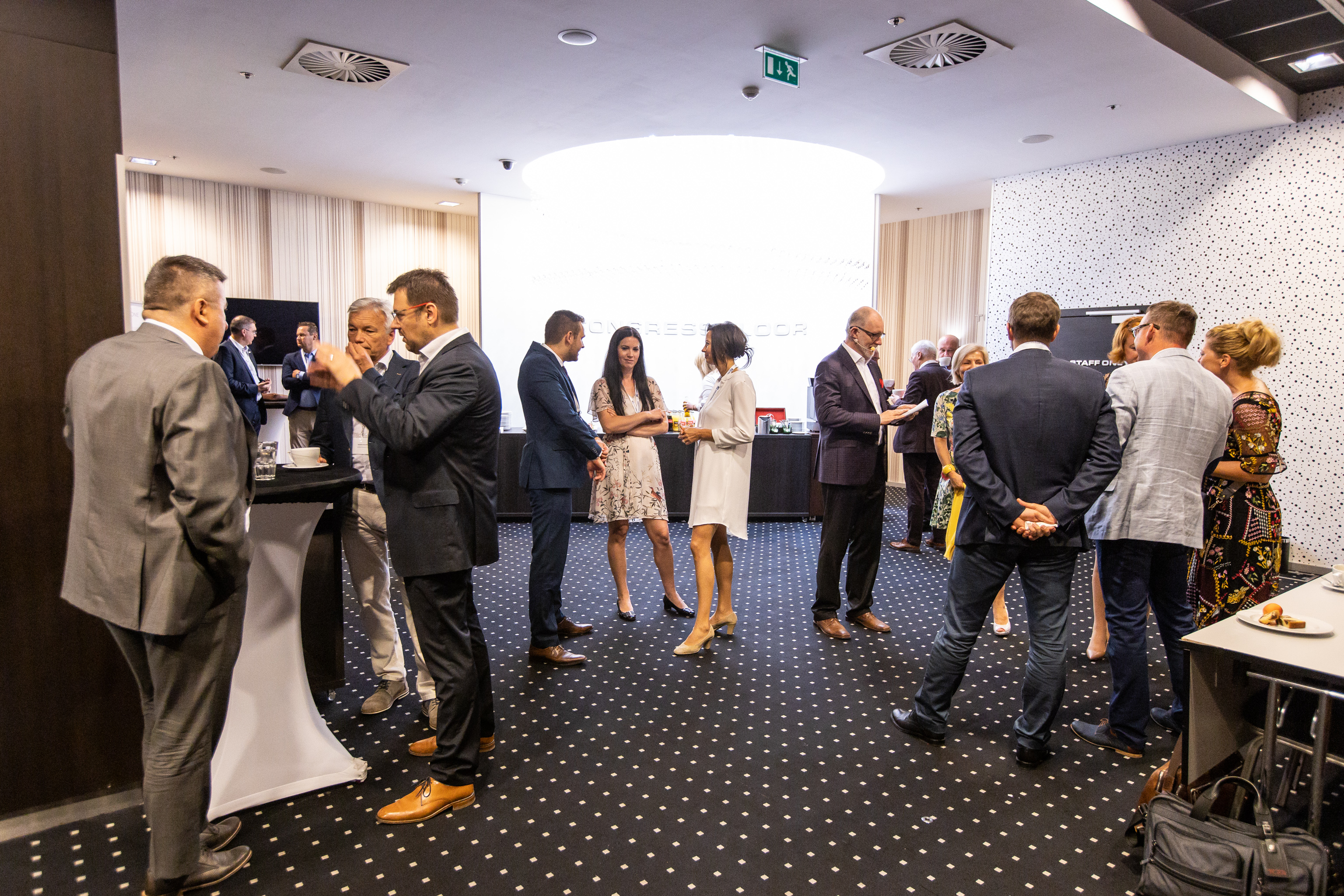 Pohled do předsálí konference