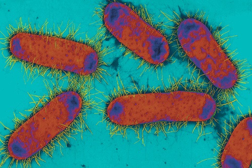 resistancia-antibioticos