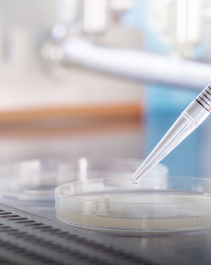 STERILLIUM Pipette 