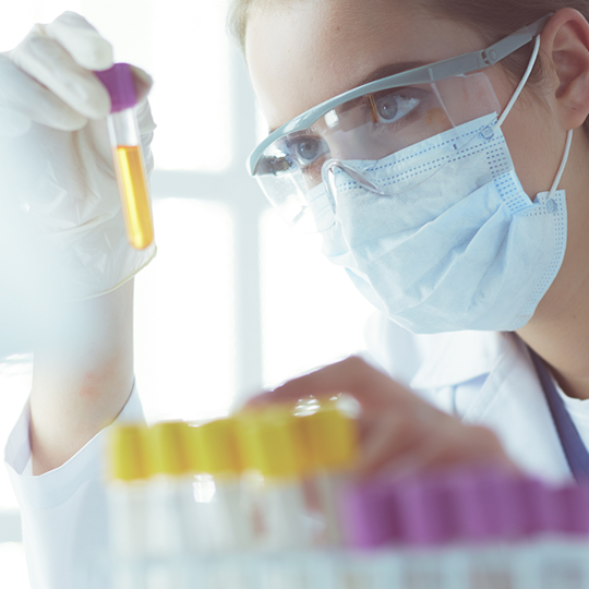 Laborassistentin über Petrischale