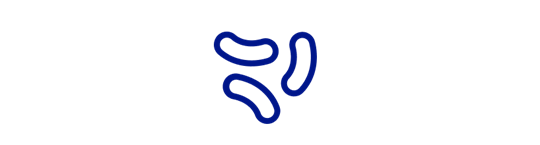 Ikona