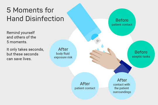 The 5 Moments for Hand Hygiene of the World Health Organization (WHO)