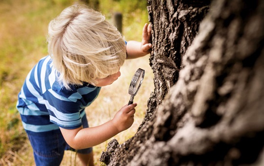 Aj ten najmenší detail môže prispieť k zníženiu negatívnych dopadov na životné prostredie. Preto sa v HARTMANN na všetko zameriavame dôkladne a ako pod lupou skúmame, čo všetko môžeme u nás zlepšiť.