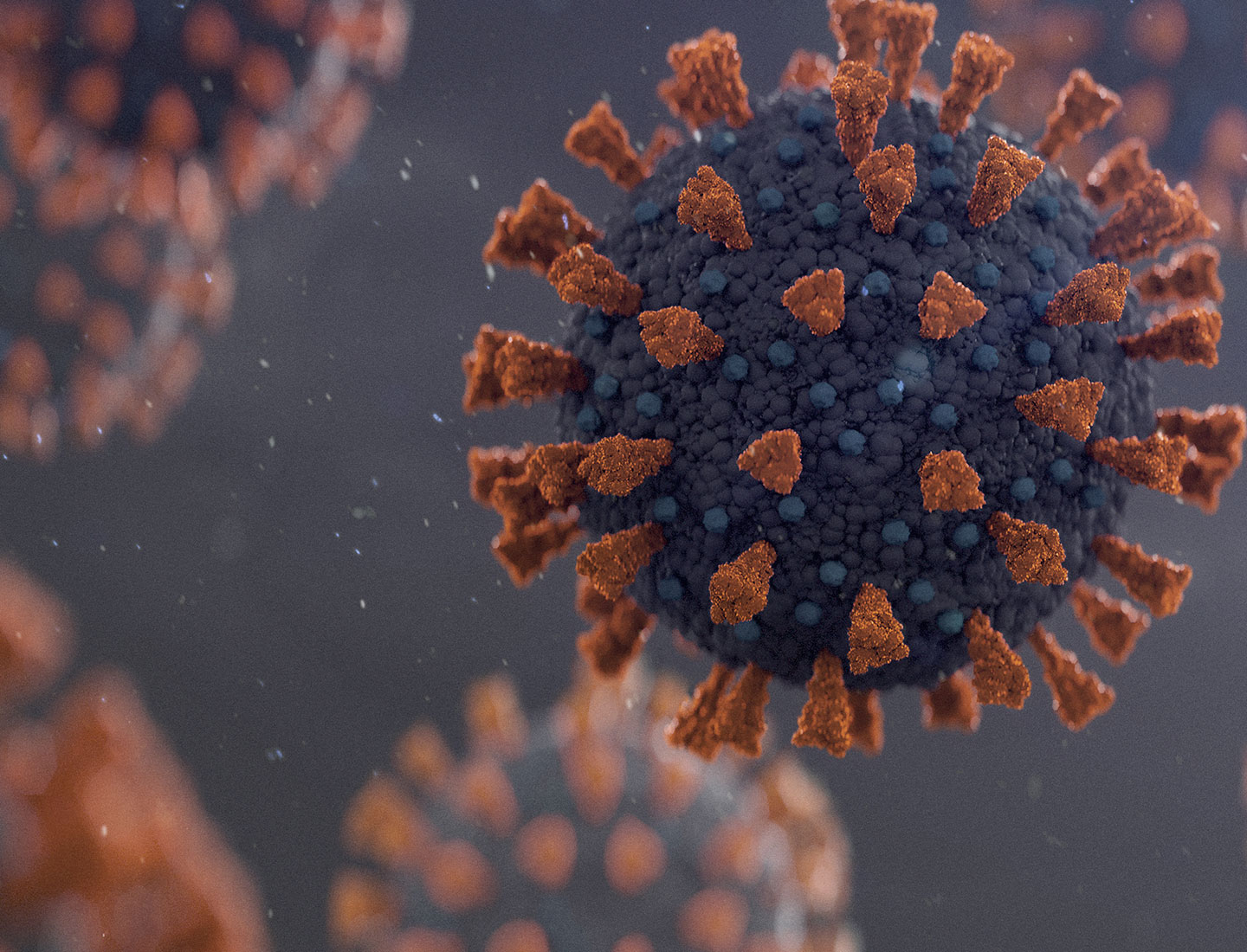 Virus transmission can occur in various manners.