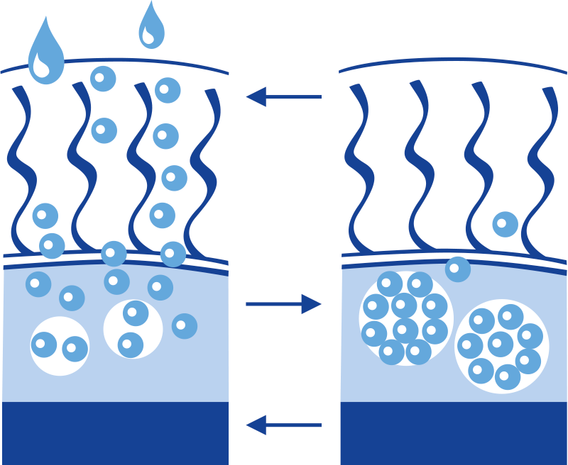 Une peau saine et une vie confortable en cas d’incontinence