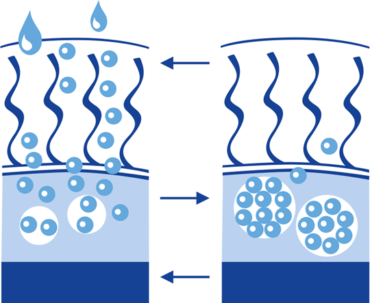 Une peau saine et une vie confortable en cas d’incontinence