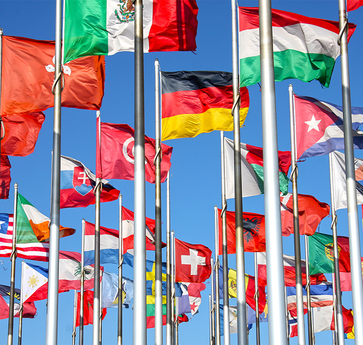 Fahnen Internationaler Vergleich