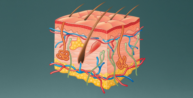 MoliCare avec pH 5,5