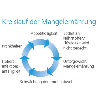 Darstellung Kreislauf Mangelernährung