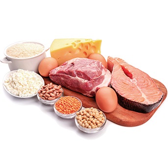 Abbvildung von Fleisch, Ei, Fisch etc.
