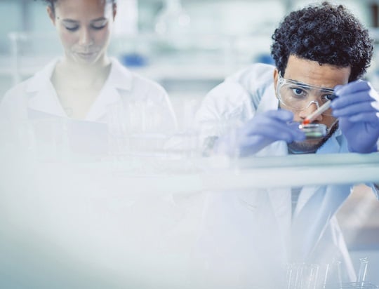 Mann untersucht Kultur in Petrischale