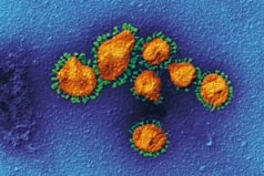 Imagen de Coronavirus