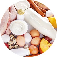 Abbildung von Eiern, Milch, Huhn