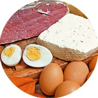 Protein