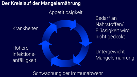 Kreislauf Mangelernährung Darstellung