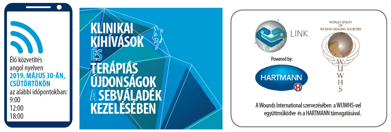 Webinar information stage