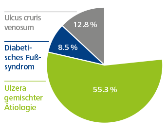 Zetuvit Plus Silikone Grafik Wundarten