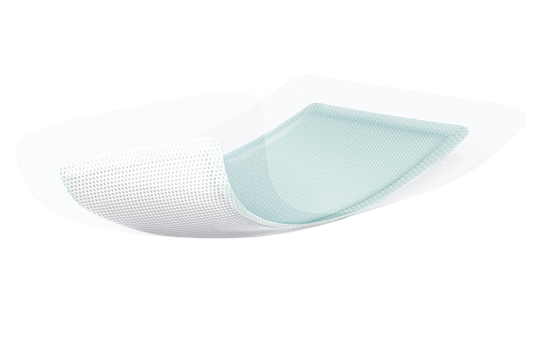 Zetuvit Plus Silicone Border