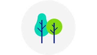 Illustration showing two green trees.