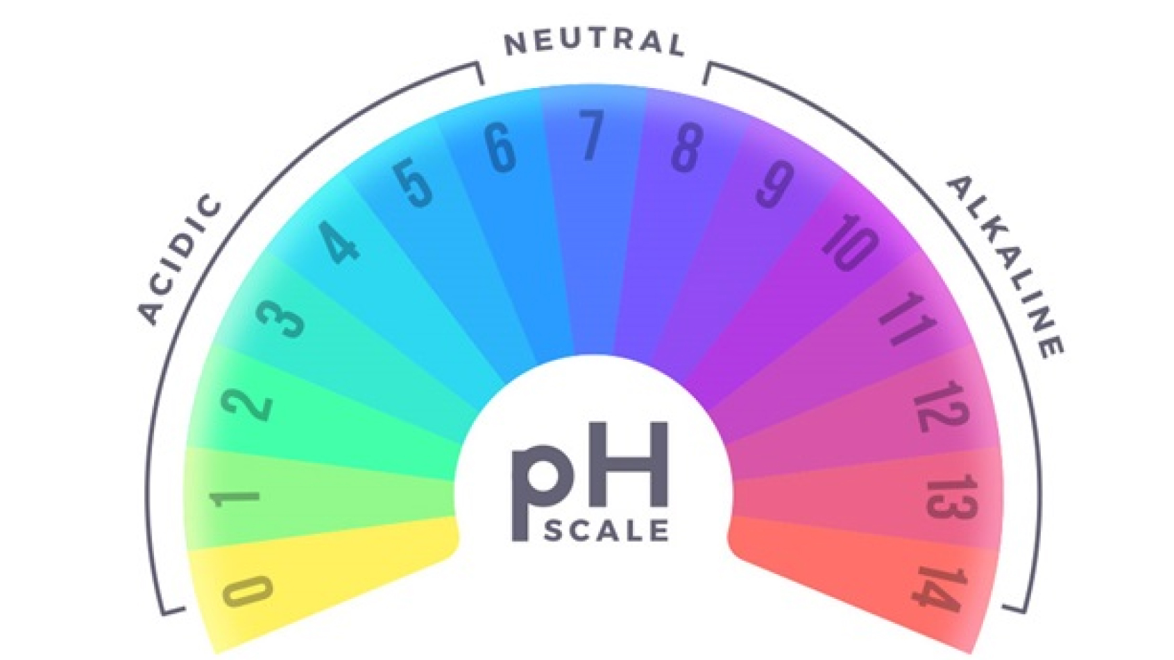Graphic of a pH scale showing acidic, neutral, and alkaline sections.