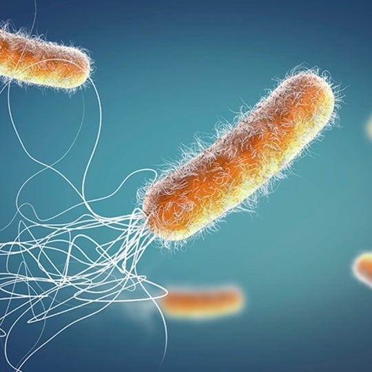 Illustration of a bacterium.