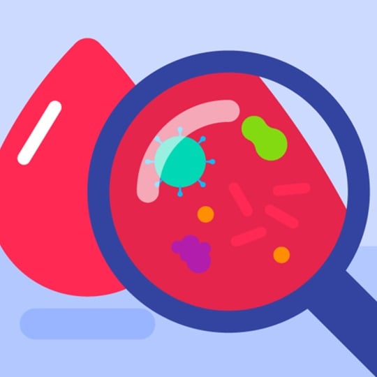 Illustration of magnifying glass inspecting blood.