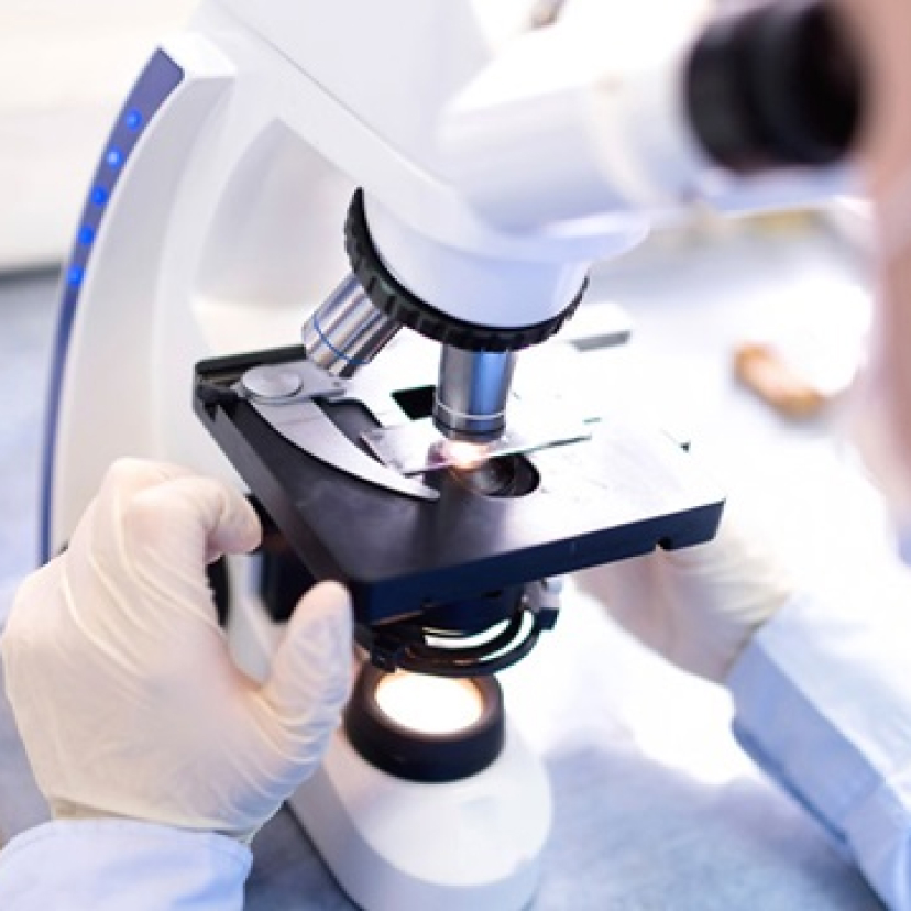 Picture of a microscopic examination.