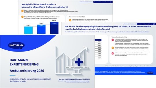 PDF-Vorschau Expertenbriefing