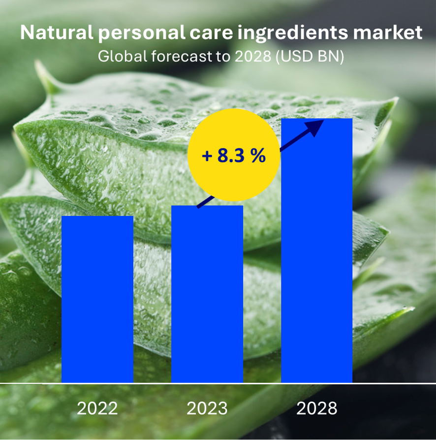  Dewy aloe slices on aloe stalks. 