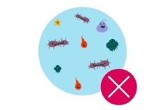 Icon Darstellung Bakterien/Viren