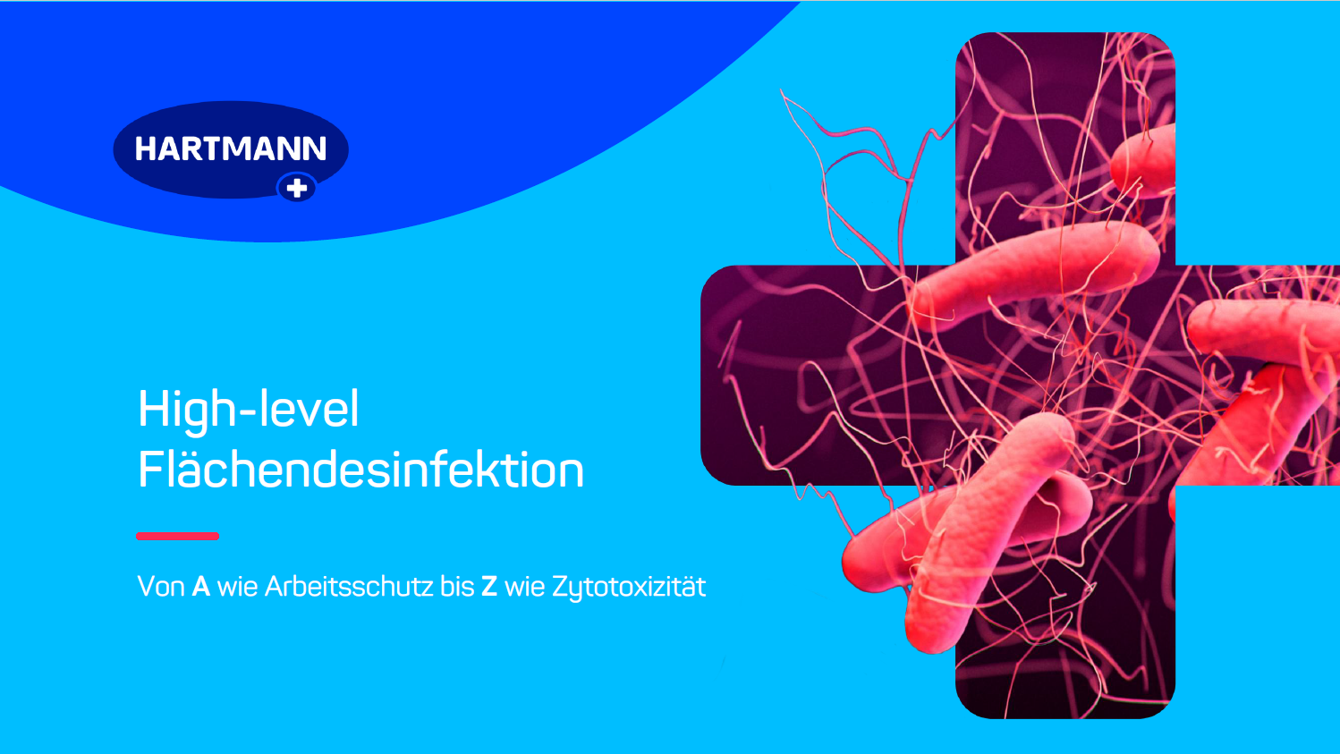 Grafik mit dem Hartmann-Logo und dem Titel „High-level Flächendesinfektion“. Auf blauem Hintergrund ist ein großes medizinisches Pluszeichen abgebildet, das mit einer 3D-Grafik von orangeroten Bakterien (Clostridioides difficile) gefüllt ist. Darunter steht der Slogan: „Von A wie Arbeitsschutz bis Z wie Zytotoxizität“.