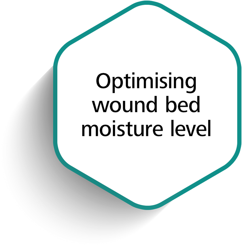 Optimizing wound bed moisture level