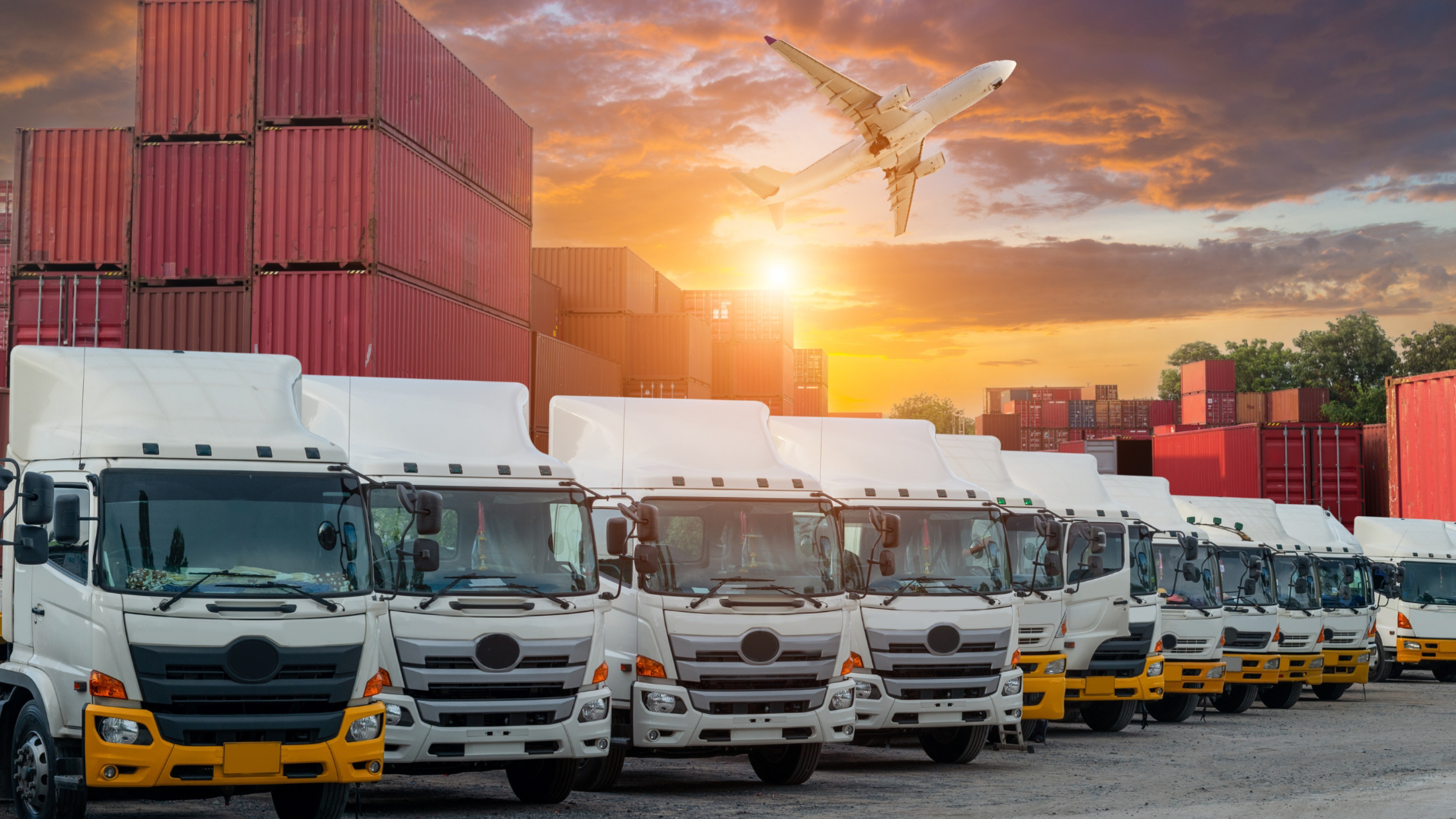 HARTMANN distributors