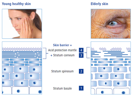 Skin comparison