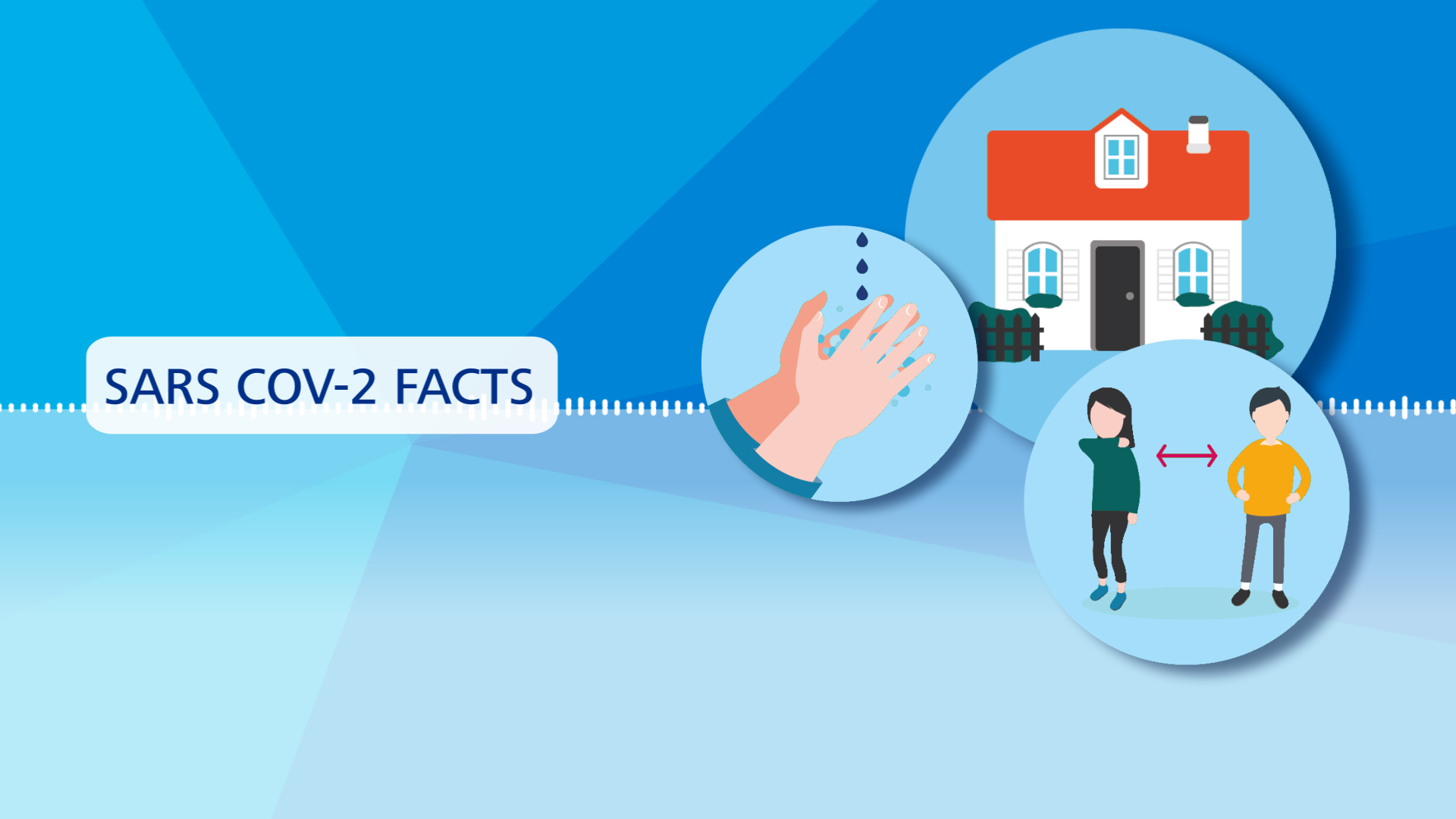 Thumbnail video Facts