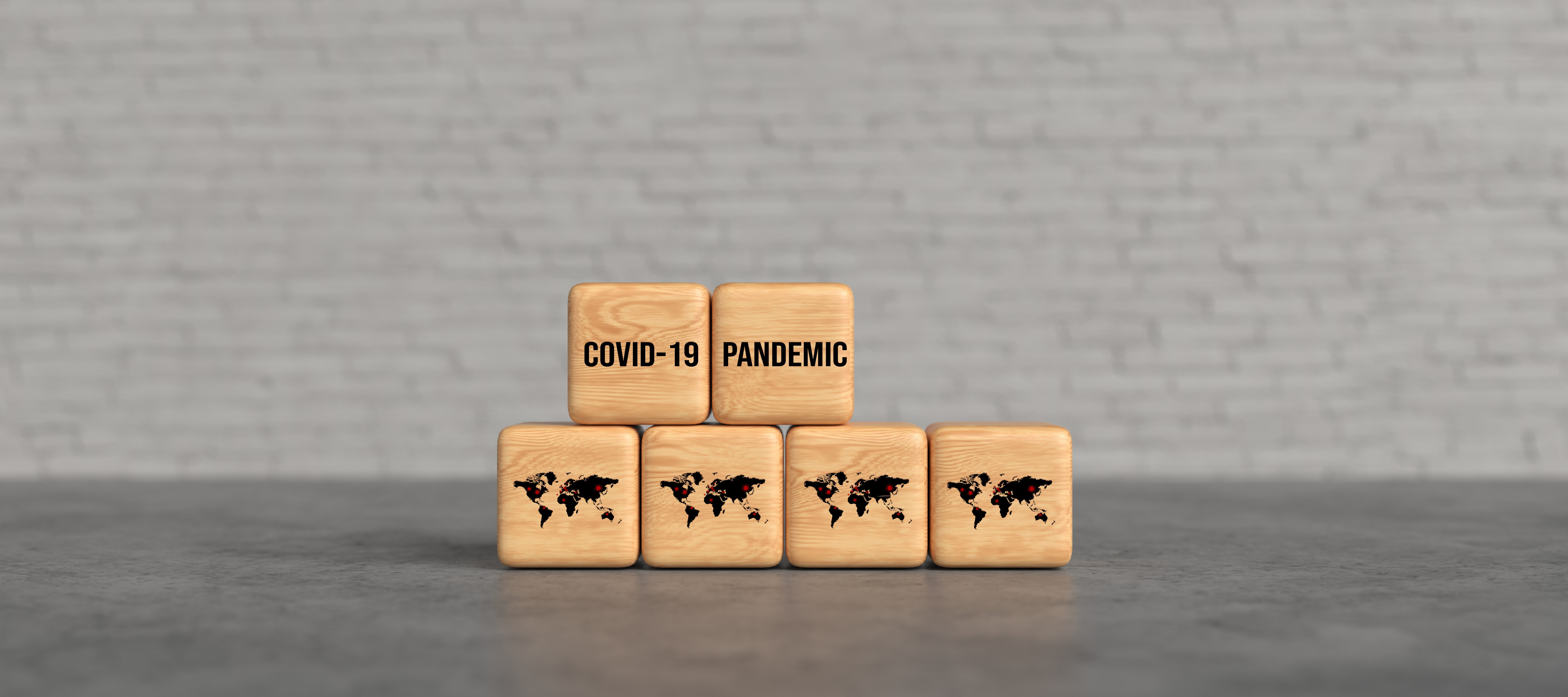 COVID-19 Pandemic