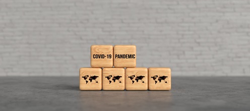 COVID-19 Pandemic